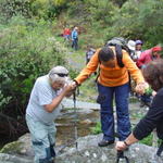 Poldras na Ribeira do Freixo