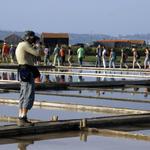 O Fotógrafo...