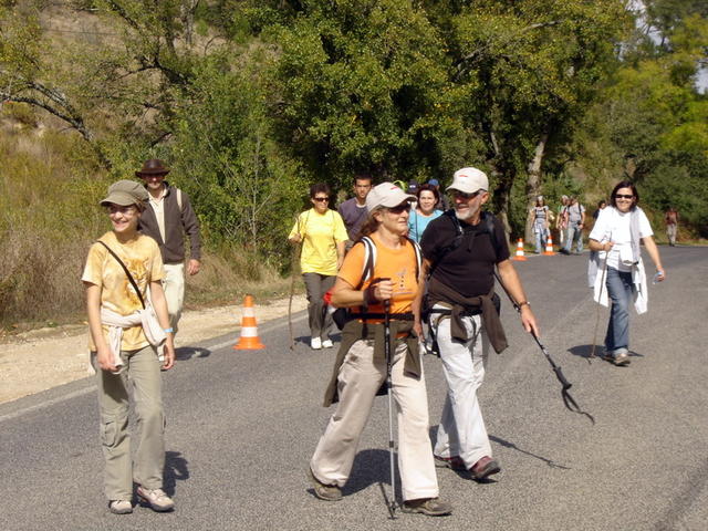 Atravessando a estrada na Mata