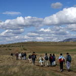 Em direcção ao Cerro de Hornachuelos