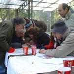 Curso de Orientação - Cabeço de Montachique