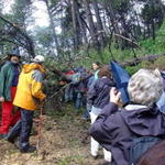 Obstáculo na subida para a Cruz das Oliveiras