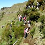 Travessia da Madeira 2009