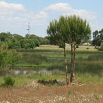 Parques Naturais de Andaluzia