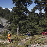 Parques Naturais de Andaluzia