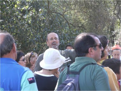 Parque Florestal de Monsanto