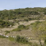 Descendo do Forte da Carvalha