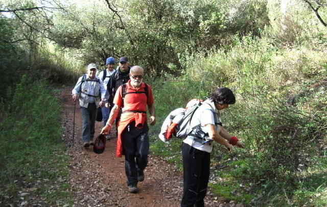 Serra de S. Luis