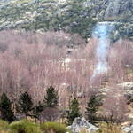 Fogo de campo