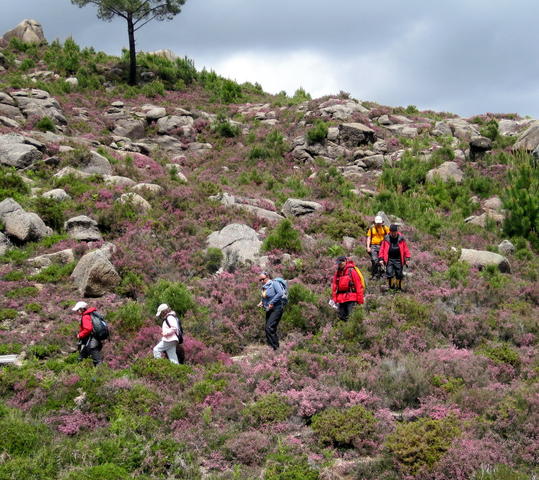 Caminhando