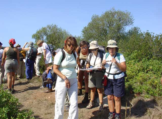 À Volta da Lagoa de Óbidos