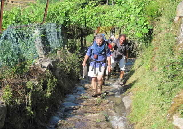 Latada, água e caminheiros...