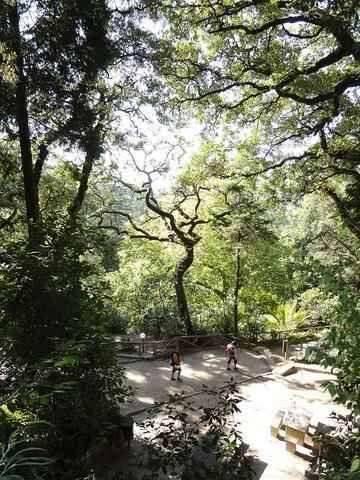 CAAL - Curso de Iniciação de Escalada - Sintra