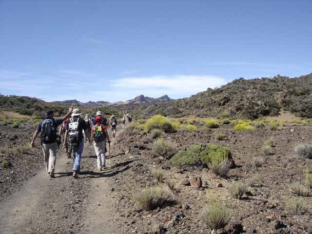 Cañadas del Teide