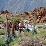 Cañadas del Teide