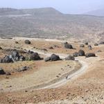 Ovos do Teide