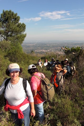 Dinossáurios da Serra d'Aire