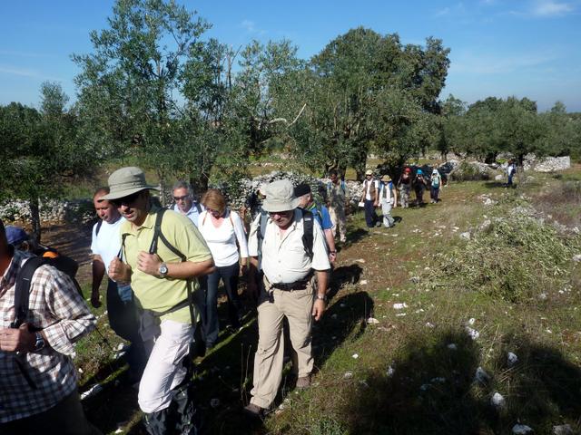 Dinossáurios da Serra d'Aire