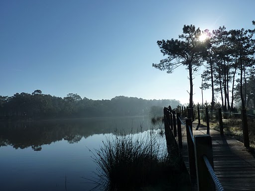 Lagoa de Pataias