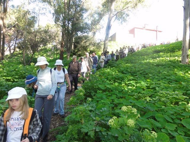 Parque Florestal de Monsanto