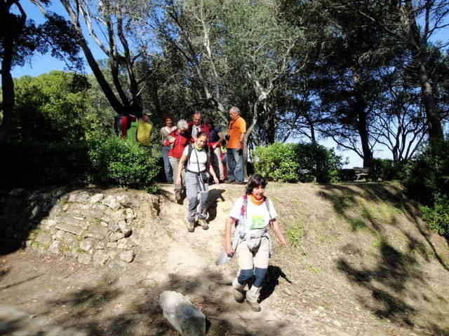 Parque Florestal de Monsanto