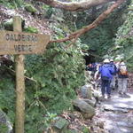 Levada do Caldeirão Verde