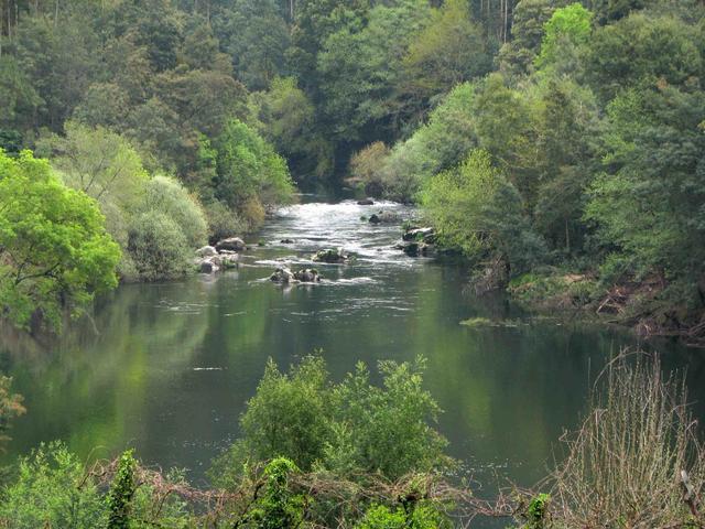 Rio Vouga, em Ermida (Sever do Vouga)