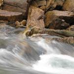 Rio Teixeira, perto de Couto de Esteves (Sever do Vouga)