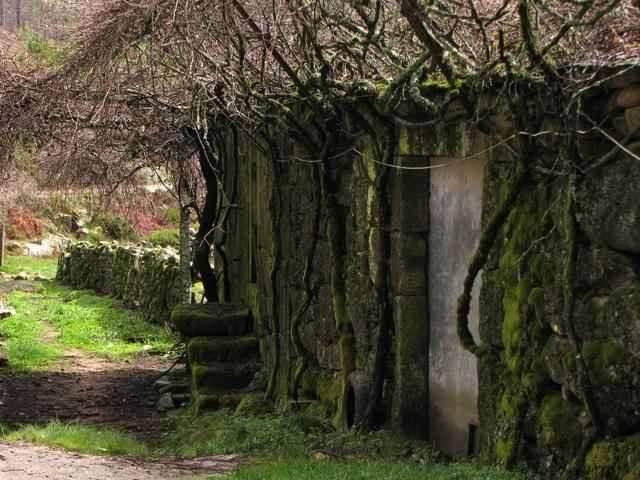 Na aldeia de Valongo (Manhouce, São Pedro do Sul), na serra da Arada