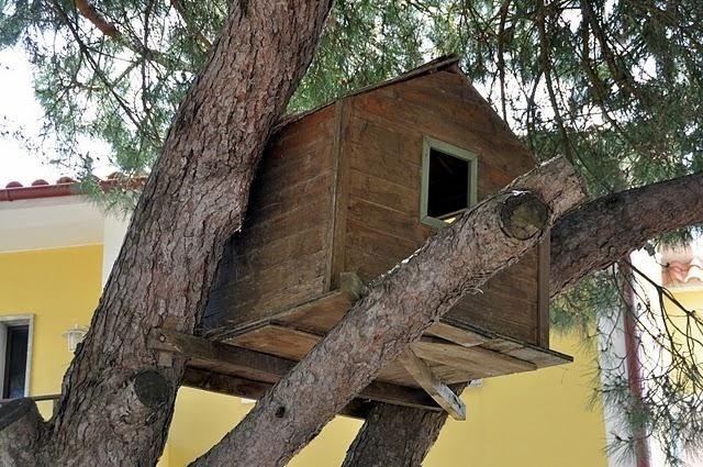 Casa na árvore