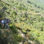 Levada do Casal do Rei