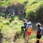 "Ginástica" na levada