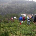 Sintra à Chuva