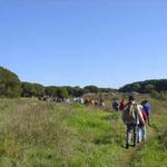 Parque Florestal de Monsanto