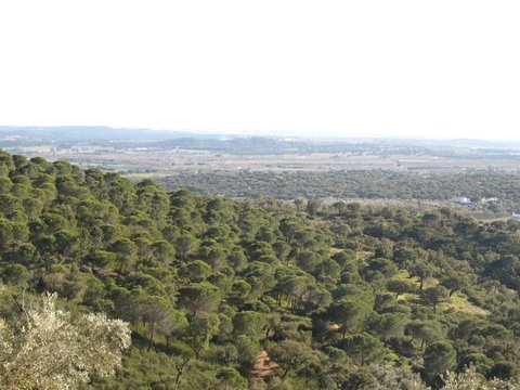 Monte da Virgem vista1