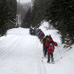 O grupo avança numa pista de ski de fundo