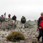 Montes de Toledo