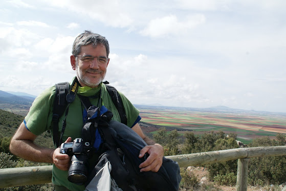 Montes de Toledo