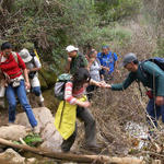 Montes de Toledo