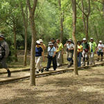 Parque Nacional de Doñana