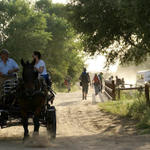 Parque Nacional de Doñana