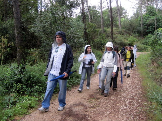 Parque Florestal de Monsanto