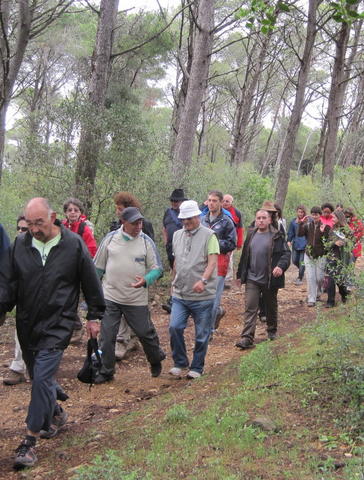 Parque Florestal de Monsanto