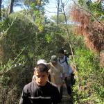 Parque Florestal de Monsanto