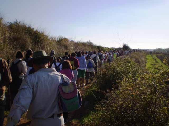 A caminho da Patameira