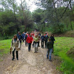 Parque Florestal de Monsanto