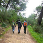 Parque Florestal de Monsanto