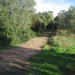 O GDAO na Serra de S. Luís