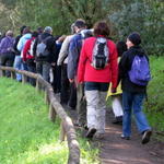 Parque Florestal de Monsanto