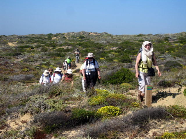 Costa Vicentina - a caminho da Arrifana